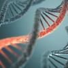 DNA